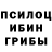 Галлюциногенные грибы прущие грибы Propan Butan