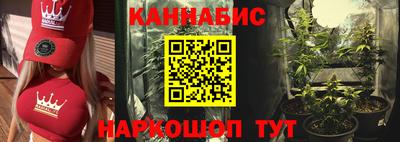 прущие крисы Ставрополь