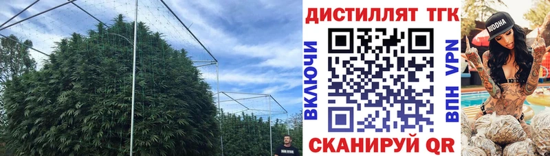 сайты даркнета какой сайт  Черемхово  Дистиллят ТГК THC oil 