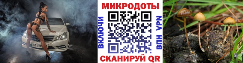 Галлюциногенные грибы мицелий  ссылка на мегу сайт  Черемхово 