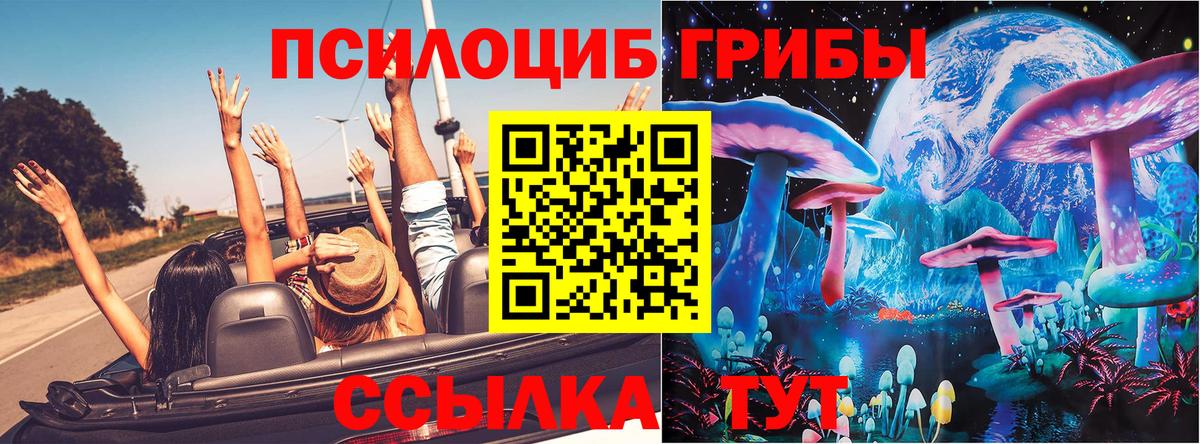 Черемхово  Псилоцибиновые грибы мухоморы  Псилоцибиновые грибы Cubensis  Вход с VPN 